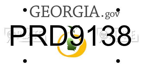 PRD9138 Georgia License Plate