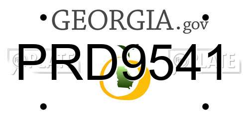 PRD9541 Georgia License Plate