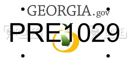 PRE1029 Georgia License Plate