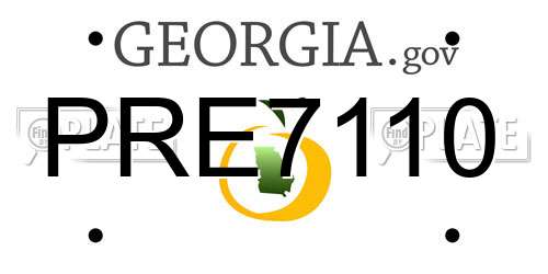 PRE7110 Georgia License Plate