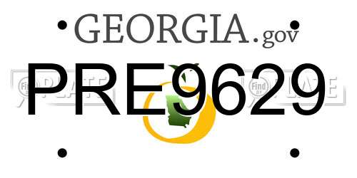 PRE9629 Georgia License Plate