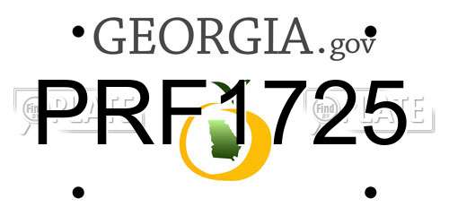 PRF1725 Georgia License Plate