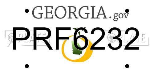 PRF6232 Georgia License Plate