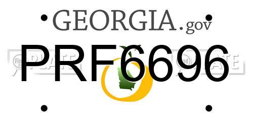 PRF6696 Georgia License Plate