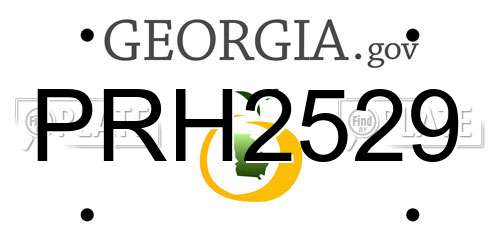 PRH2529 Georgia License Plate