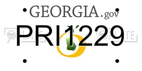 PRI1229 Georgia License Plate