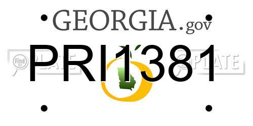 PRI1381 Georgia License Plate
