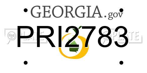 PRI2783 Georgia License Plate