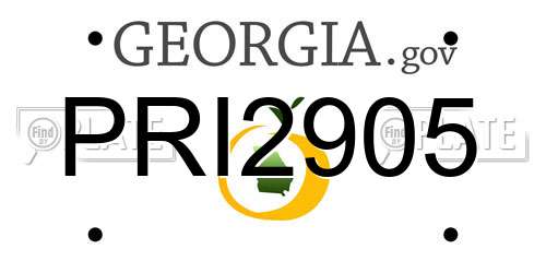 PRI2905 Georgia License Plate