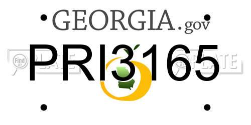 PRI3165 Georgia License Plate