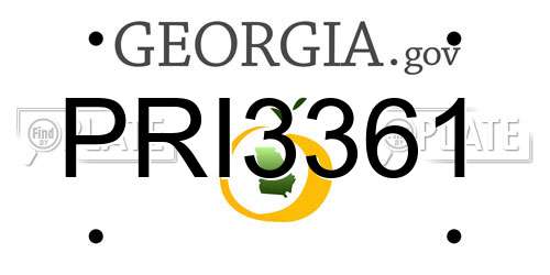 PRI3361 Georgia License Plate