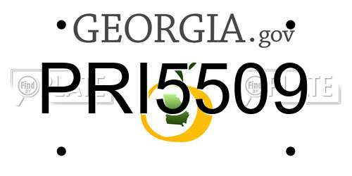 PRI5509 Georgia License Plate