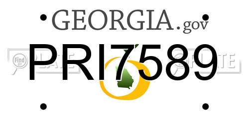 PRI7589 Georgia License Plate