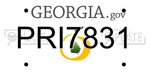 PRI7831 Georgia License Plate