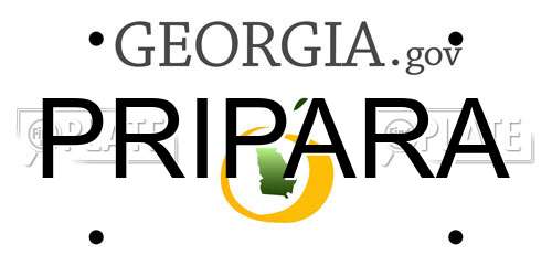 PRIPARA Georgia License Plate