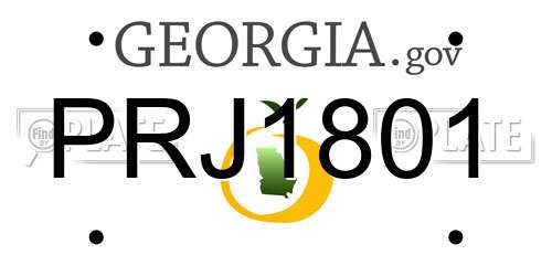 PRJ1801 Georgia License Plate