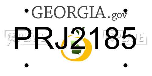 PRJ2185 Georgia License Plate