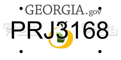 PRJ3168 Georgia License Plate