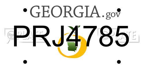 PRJ4785 Georgia License Plate