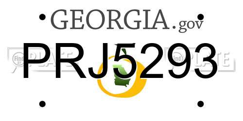 PRJ5293 Georgia License Plate