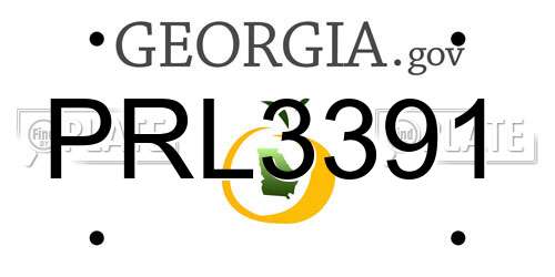 PRL3391 Georgia License Plate
