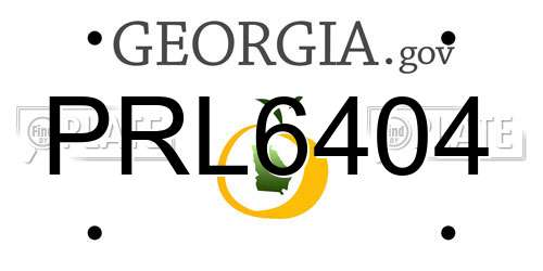 PRL6404 Georgia License Plate