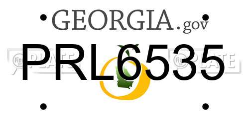 PRL6535 Georgia License Plate