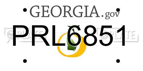 PRL6851 Georgia License Plate