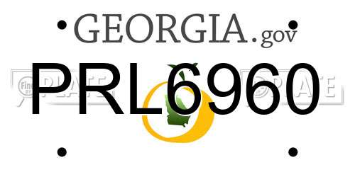 PRL6960 Georgia License Plate