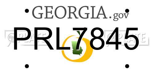 PRL7845 Georgia License Plate