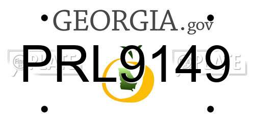 PRL9149 Georgia License Plate