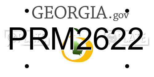 PRM2622 Georgia License Plate