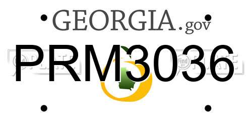 PRM3036 Georgia License Plate