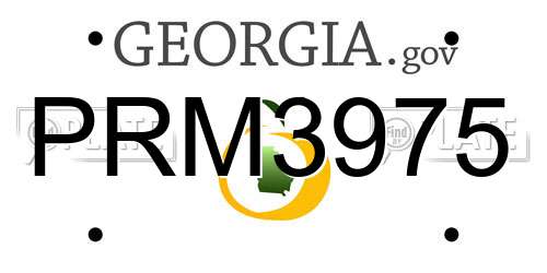 PRM3975 Georgia License Plate
