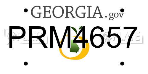PRM4657 Georgia License Plate