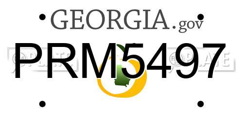 PRM5497 Georgia License Plate