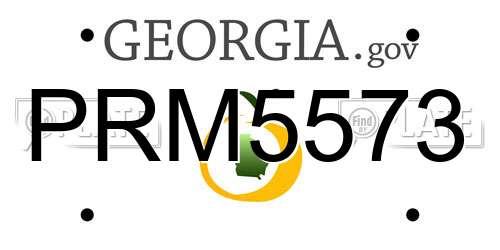 PRM5573 Georgia License Plate