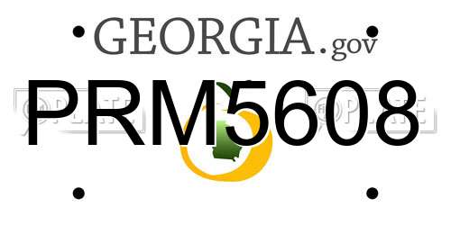 PRM5608 Georgia License Plate
