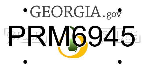 PRM6945 Georgia License Plate