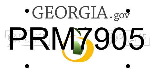 PRM7905 Georgia License Plate