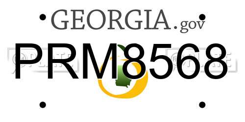 PRM8568 Georgia License Plate