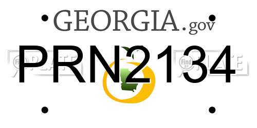 PRN2134 Georgia License Plate