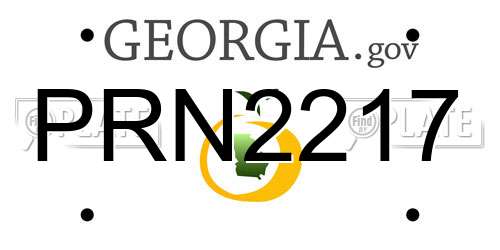 PRN2217 Georgia License Plate
