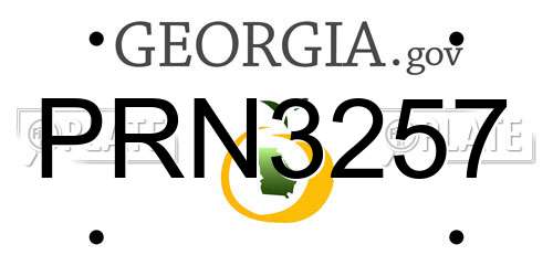 PRN3257 Georgia License Plate