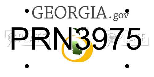 PRN3975 Georgia License Plate