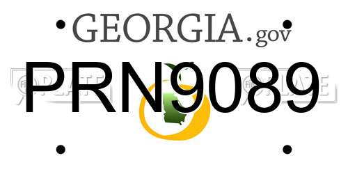 PRN9089 Georgia License Plate