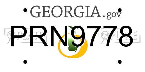 PRN9778 Georgia License Plate