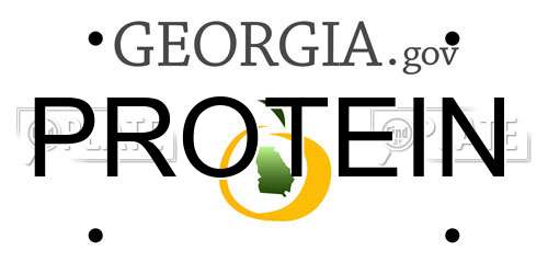 PROTEIN Georgia License Plate