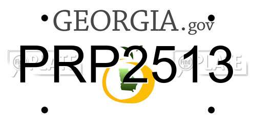 PRP2513 Georgia License Plate