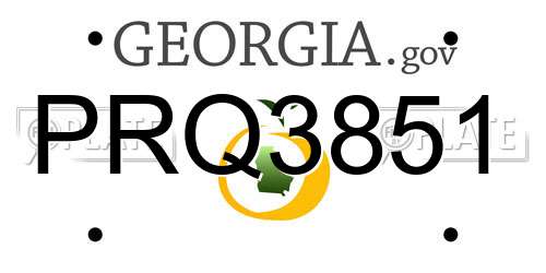 PRQ3851 Georgia License Plate